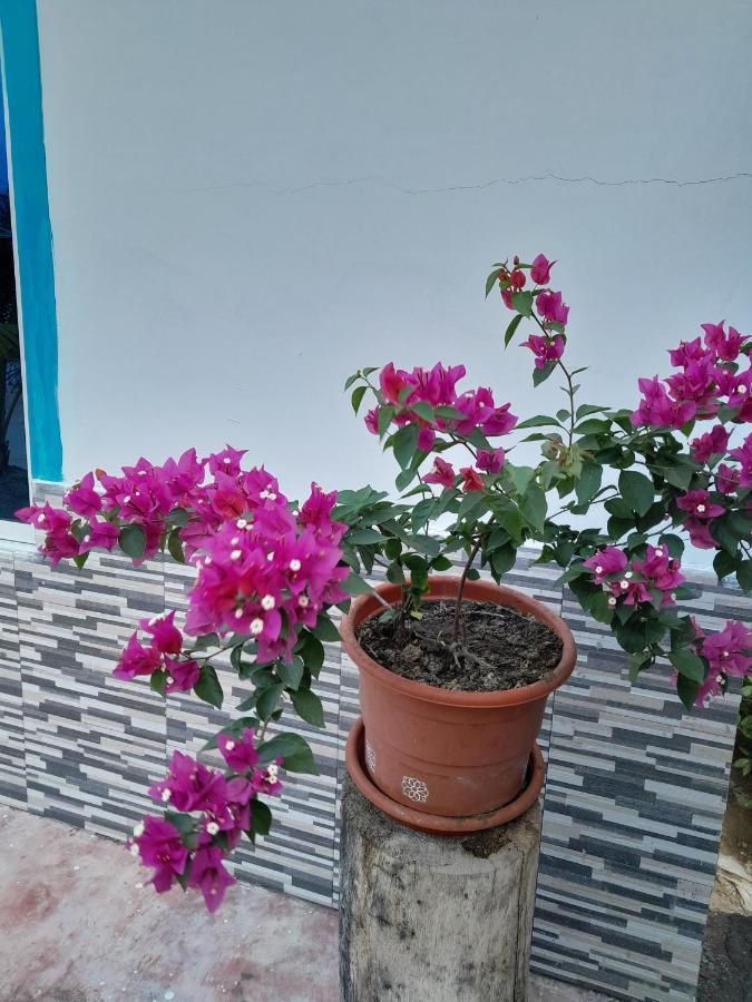 Playa Mag Hotel Covenas Bagian luar foto